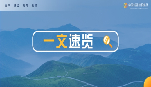 一文速覽｜化債壓力下，城投公司如何布局金融賽道？