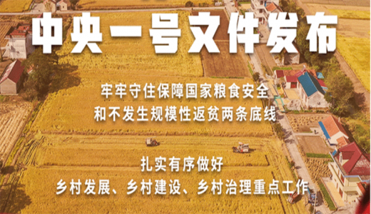 【2022年中央一號(hào)文件】穩(wěn)住農(nóng)業(yè)基本盤(pán) 接續(xù)全面推進(jìn)鄉(xiāng)村振興
