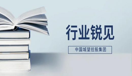 中紀(jì)委點(diǎn)名融資平臺，意味著什么？